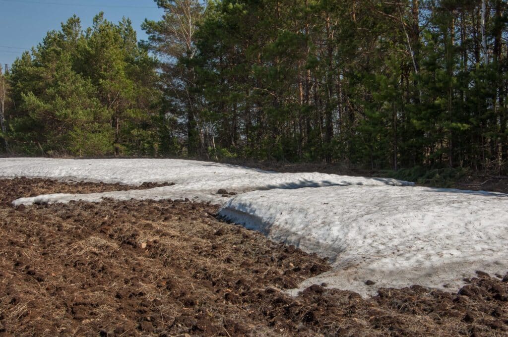 Five Benefits of Land Clearing in Kentucky - Sanctuary Forestry Mulching