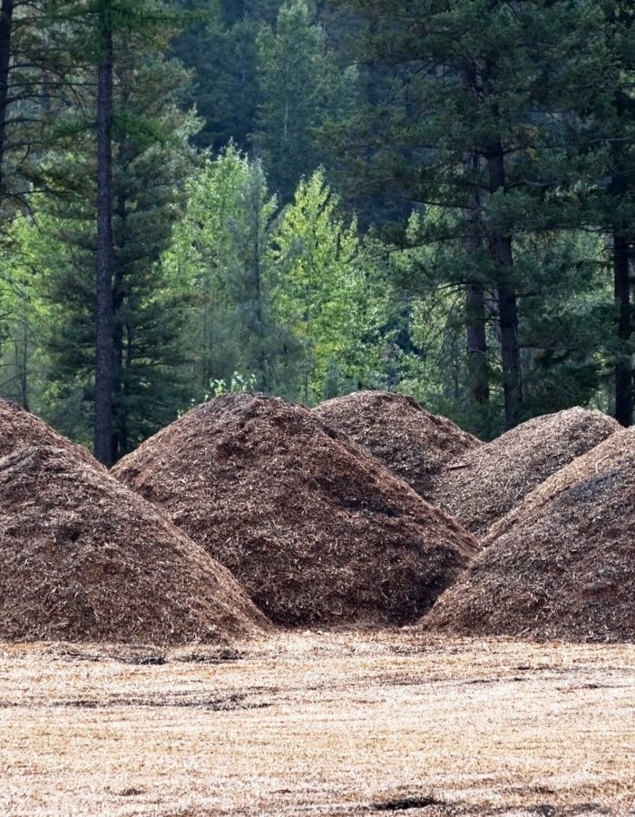 sanctuary-forestry-mulching-06