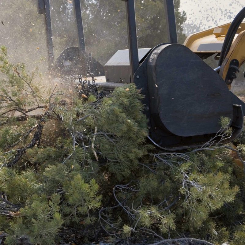 sanctuary-forestry-mulching-10