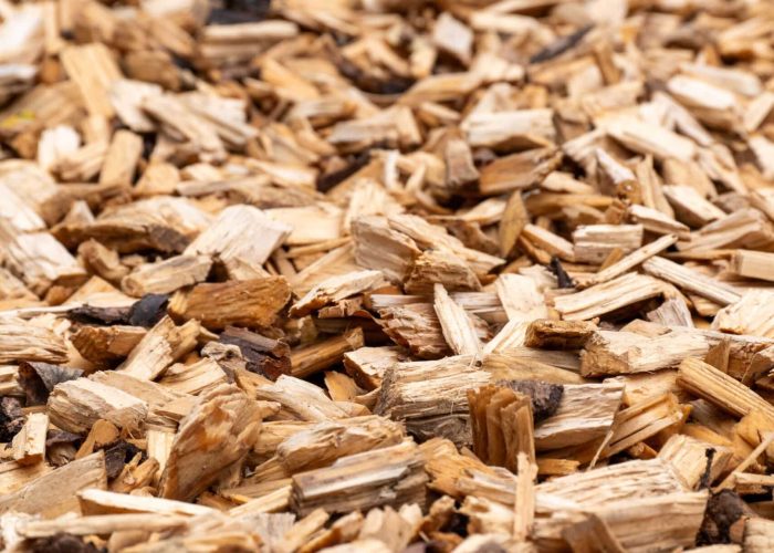 sanctuary-forestry-mulching-18